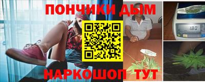 дурь Шелехов